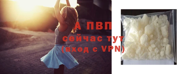 сатива Мегион
