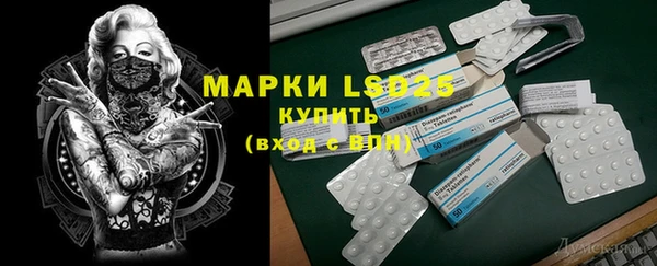 PSILOCYBIN Навашино