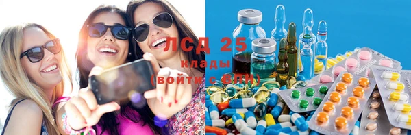PSILOCYBIN Навашино