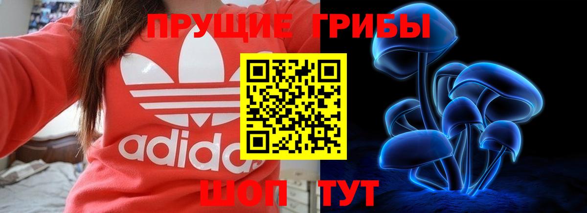 Галлюциногенные грибы Magic Shrooms  Вход с VPN  Кингисепп 
