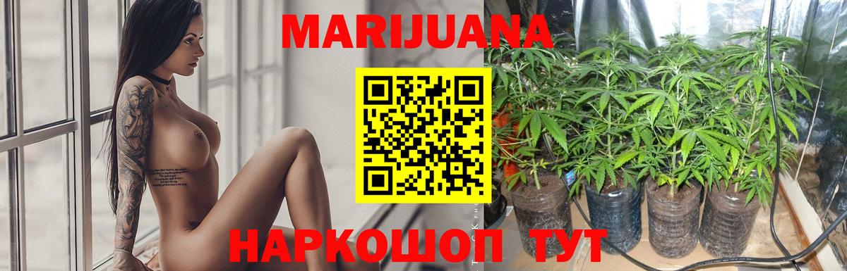 Бошки марихуана White Widow  Бошки Шишки гибрид  Бошки Шишки сатива  Кингисепп  Вход с VPN 